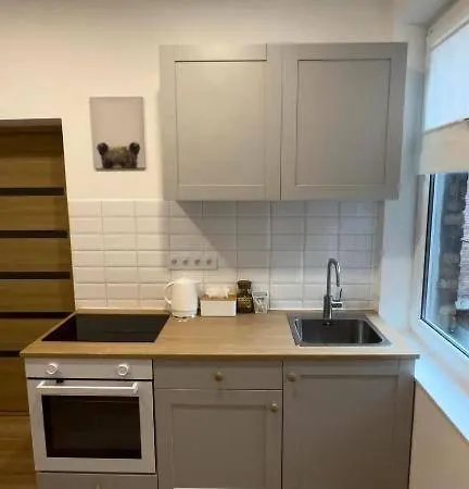Apartment New Wood - Katowice