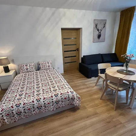 Apartman Wood Katowice